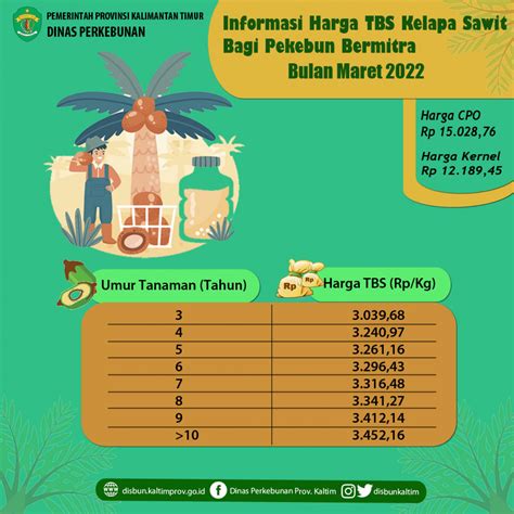 Informasi Harga Tbs Kelapa Sawit Bagi Pekebun Bermitra Bulan Maret