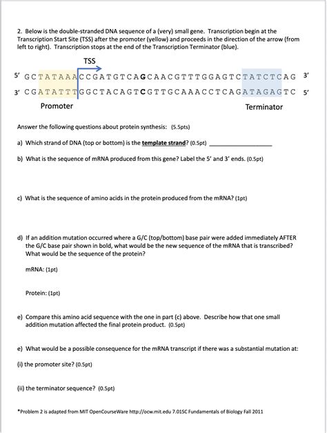 Solved Below Is The Double Stranded Dna Sequence Of A Very