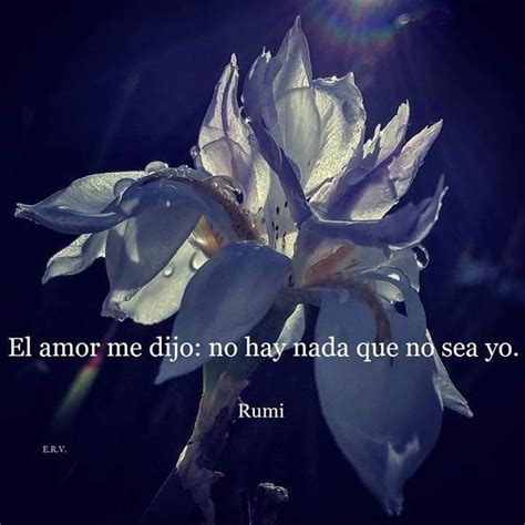 Pin De Johanna En Frases Pensamientos Frases De Rumi Poes A De