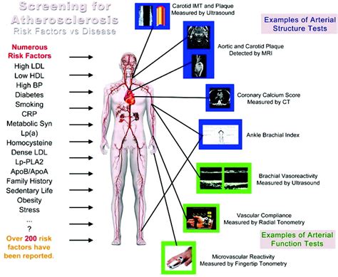 Cardiovascular Biomarkers Circulation