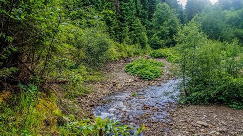 Why Wilderness is so important!