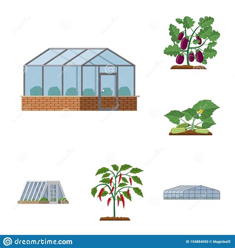 Vector Illustration Of Greenhouse And Plant Symbol Set Of Greenhouse