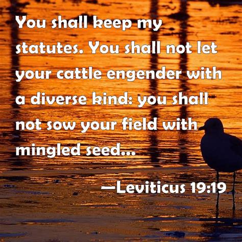 Leviticus 1919 You Shall Keep My Statutes You Shall Not Let Your