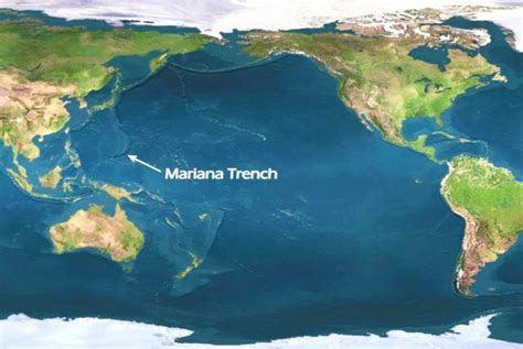 Mariana And Puerto Rico Trenches Venn Diagram Trench Deepest