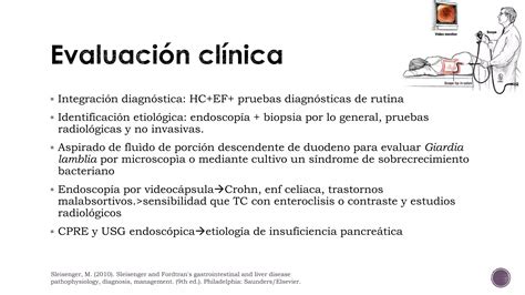 Síndrome de absorción intestinal deficiente PPT