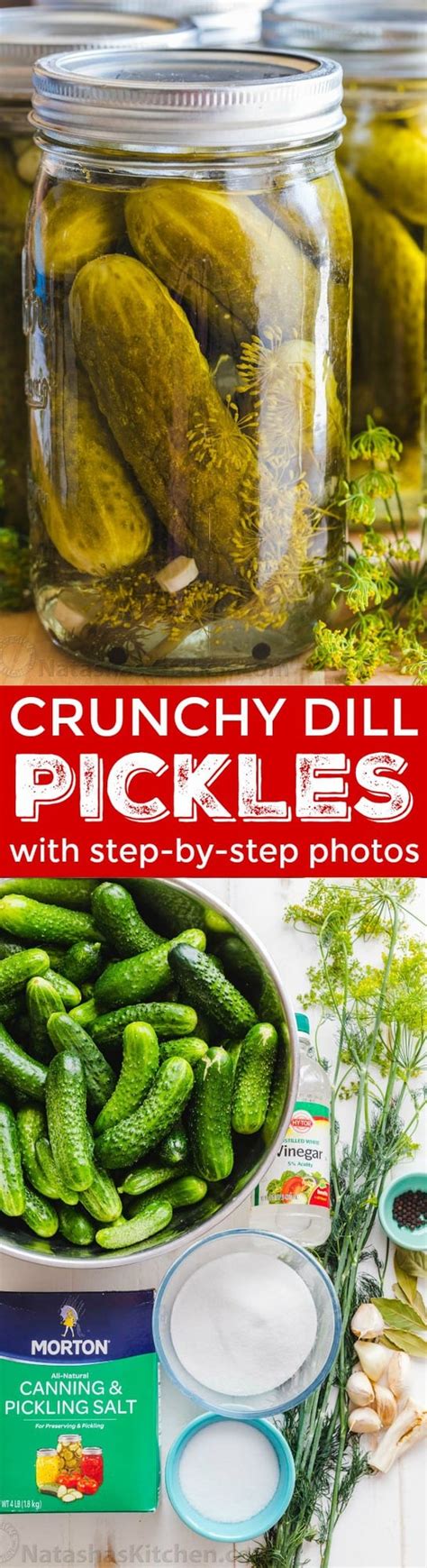 Canned Dill Pickle Recipe