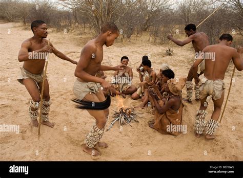 San Bushmen Kalahari Desert Kalahari Banque D Image Et Photos Alamy