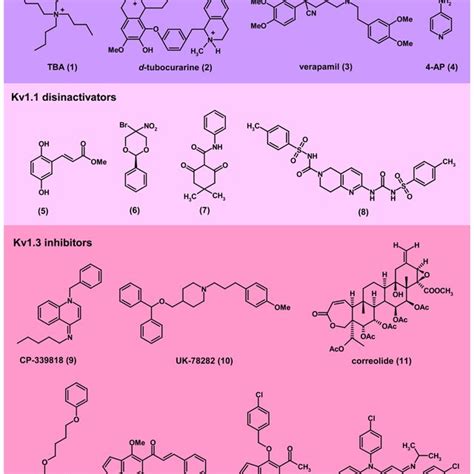 Theoretical Effects Of Kv Channel Inhibitors And Activators On