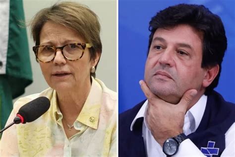 Ex Ministros De Bolsonaro Mandetta E Tereza Cristina V O Justi A