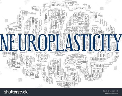 Neuroplasticity Word Cloud Conceptual Design Isolated Stock Vector