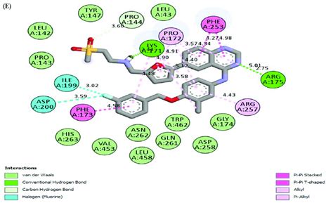 2d Molecular Interaction Of Human G6pd With A Polydatin B