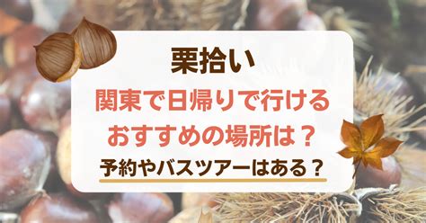 栗拾い関東で日帰りで行けるおすすめの場所は？予約やバスツアーはある？ おうちヒント