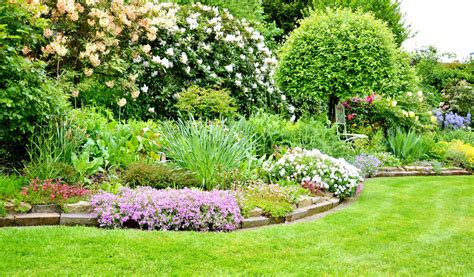 Créer un jardin de fleurs vivaces variétés plantation et entretien