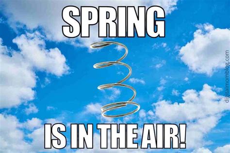 Hilarious Spring Memes To Brighten Your Day And Welcome The Season Di 2024