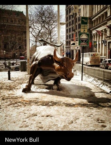 NYC Bull | New york city, Nyc, Bull