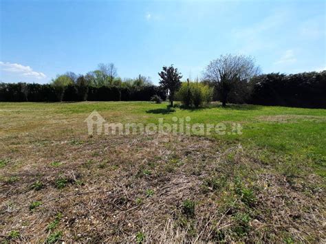 Terreno Agricolo Mussolente Rif Immobiliare It