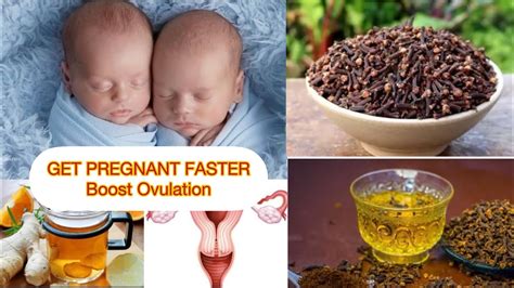 Benefits Of Cloves In Fertility How To Use Cloves To Get Pregnant And