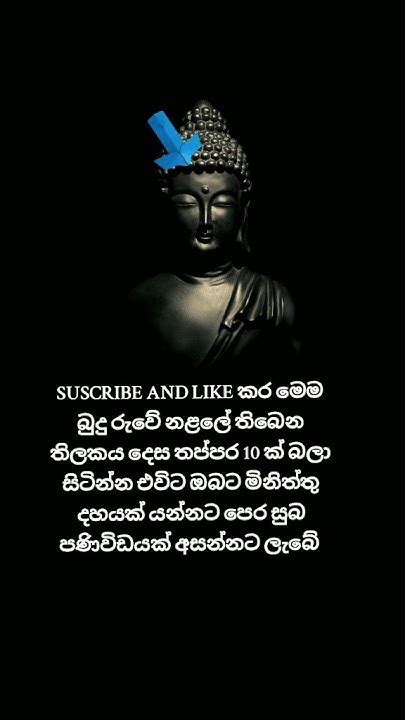 සැවෝටම බුදු සරණයි Youtube