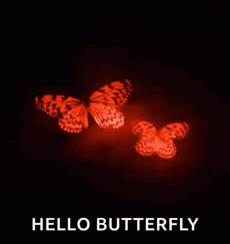 Butterfly Wings Flapping GIF - Butterfly Wings Flapping Red - Discover ...