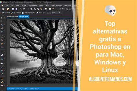 Qu Alternativas Gratis A Photoshop Deber As Probar