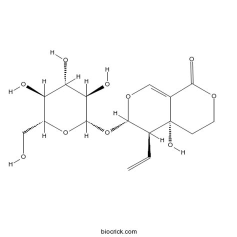 Swertiamarin CAS 17388 39 5 Iridoids High Purity Manufacturer