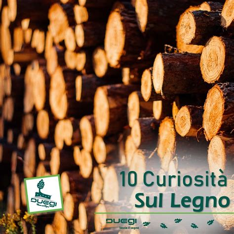 Curiosit Sul Legno Che Forse Non Sapevi