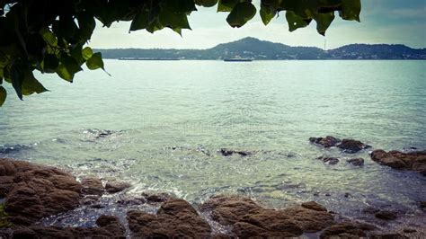Scenery Of The Sea Under The Shadow Of The Leaves Stock Photo Image