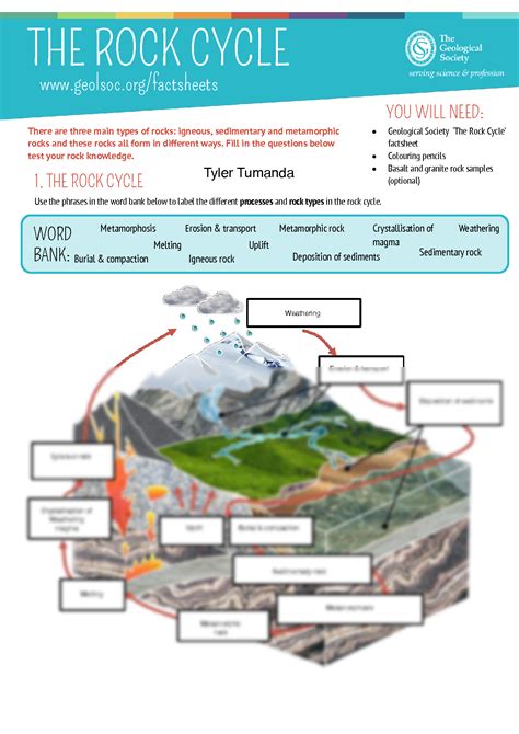 SOLUTION: The Rock Cycle Worksheet - Studypool - Worksheets Library