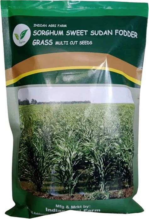 Sorghum Sudan Grass Multi Cut Fodder Seeds Pack Of 5 Kg Jiomart