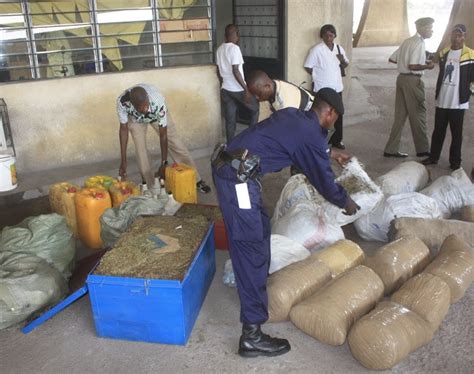 Brigade Des Stup Une Centaine De Kilogrammes De Drogues Incin R E