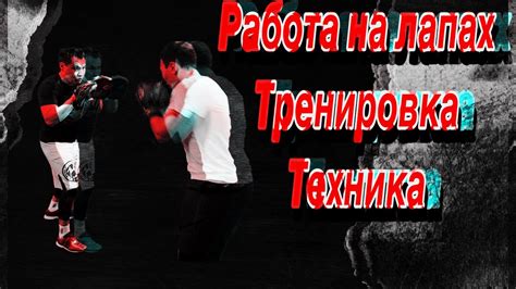 Работа на лапах,тренировка,техника#бокс - YouTube