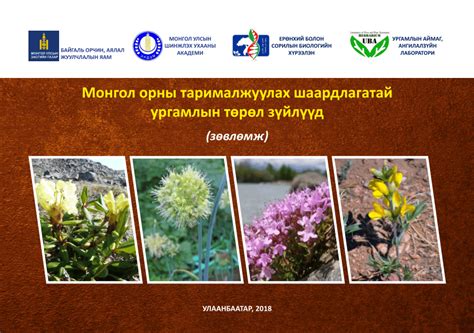 (PDF) Монгол орны тарималжуулах шаардлагатай ургамлын төрөл зүйлүүд ...