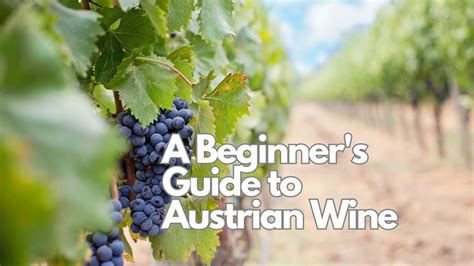 A Beginner’s Guide To Austrian Wine – WINE SPIRIT WOMEN