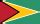 Descargar Iconos De La Bandera De Guyana Banderas Mundo Es