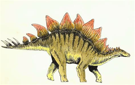 Did You Know Colorado’s State Fossil Is The Stegosaurus