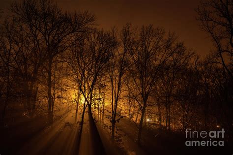 An Eerie Light In The Woods Photograph By George Lehmann Pixels