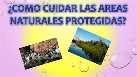 COMO CUIDAR LAS ÁREAS NATURALES PROTEGIDAS PPT