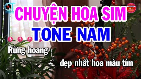 Karaoke Chuyện Hoa Sim Tone Nam Cm Nhạc Sống Hay 2024 Đại Lý