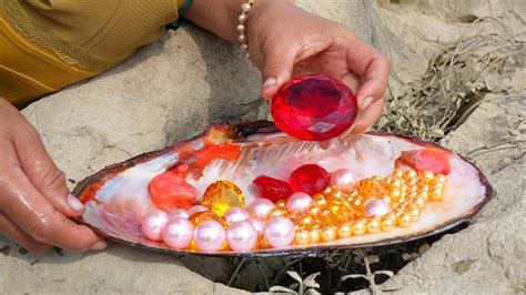 Treasure Hunt The Girl Accidentally Discovered A Huge Clam Revealing