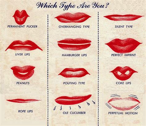 Male Lip Shapes Chart Google Search Shape Chart Lip Shapes Nose | The ...