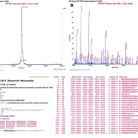 A Chromatogram Depicting Intact Mass Determined For Pfutim B Download Scientific Diagram