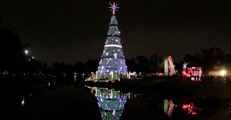 Rvore De Natal De S O Paulo Deixa Ibirapuera E Ser Montada No Parque