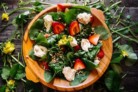 Miners Lettuce Salad With Ricotta Strawberries Chickweed And Sorrel