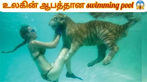 உலகன ஆபததன swimming pool The most dangerous swimming pool in the