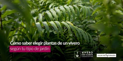 Cómo saber elegir plantas de un vivero según tu tipo de jardín