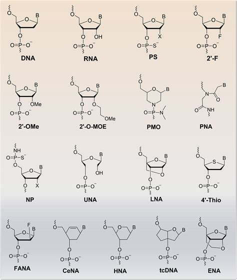 Antisense Oligonucleotides Targeting Angiogenic Factors As Potential