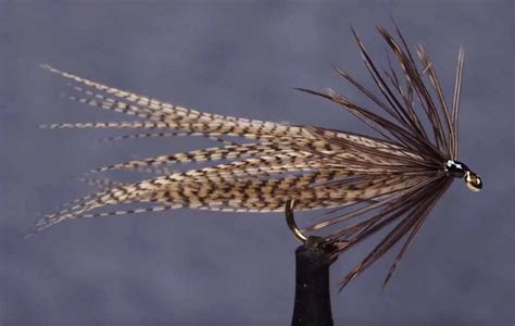 Video: How to Tie the Wood Duck Heron - Orvis News