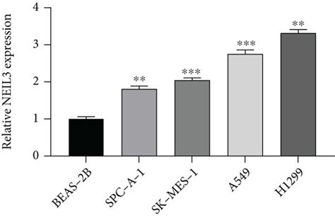 Neil3 Promoted Lung Cancer Cell Proliferation Notes A Expression Download Scientific