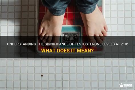 Understanding The Significance Of Testosterone Levels At 210 What Does