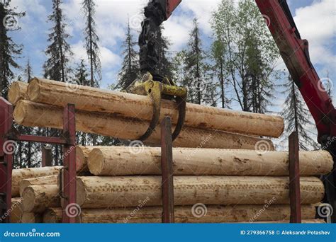 Loading Logs On A Truck Trailer Using A Tractor Loader With A Grab